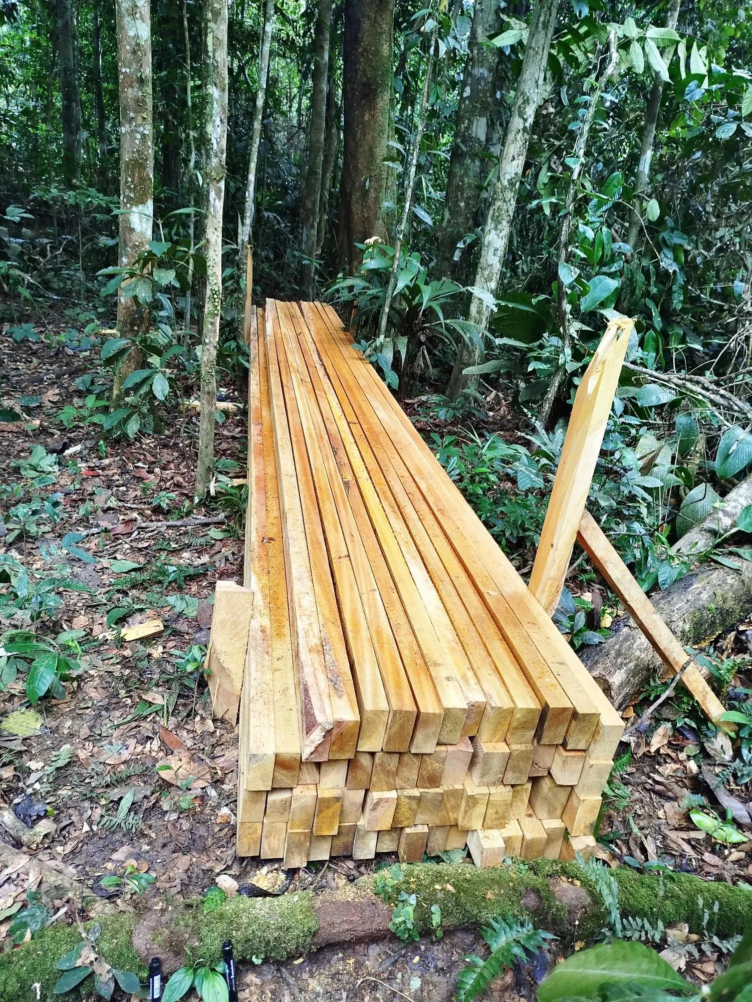 Listones de madera recién aserrados y apilados en el patio